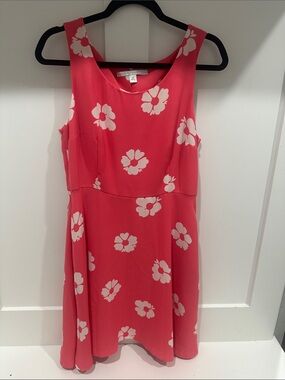 Floral Sleeveless A-Line Dress